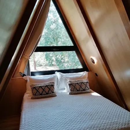 Carvalhal Redondo - Castelo Novo