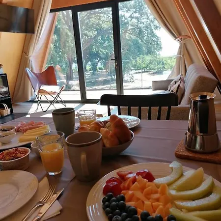 Carvalhal Redondo - *