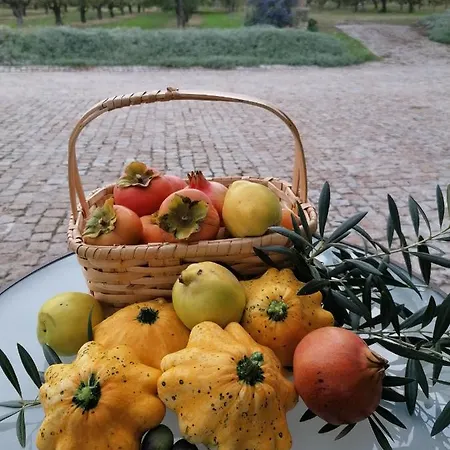 Carvalhal Redondo - Landsted