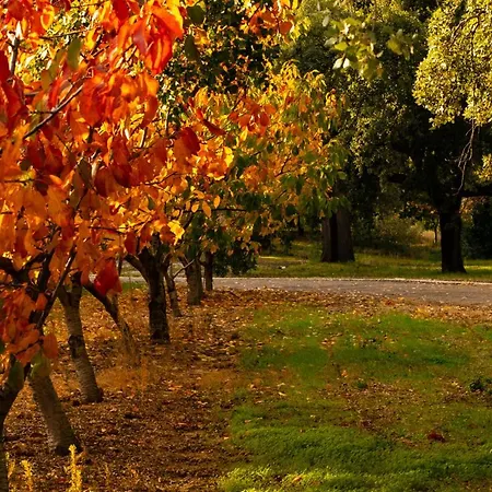 Carvalhal Redondo - Hétvégi ház *