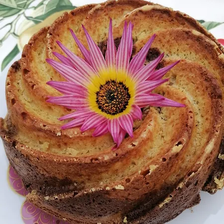 Carvalhal Redondo - Castelo Novo