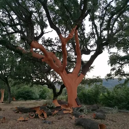 Landsted Carvalhal Redondo -