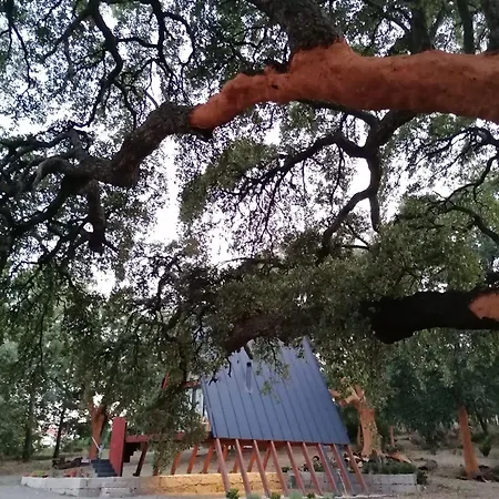 Carvalhal Redondo - Landsted Castelo Novo