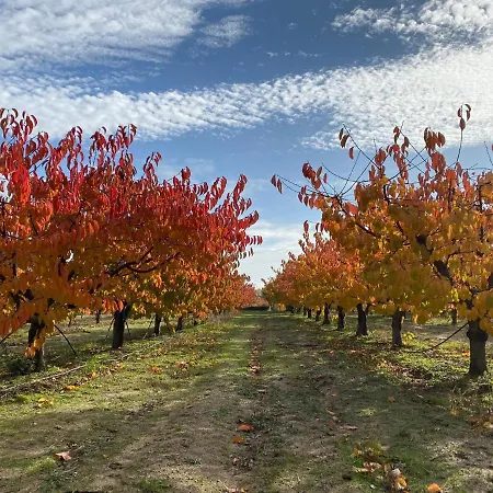 Landsted Carvalhal Redondo - Castelo Novo