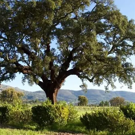 Carvalhal Redondo - * Castelo Novo