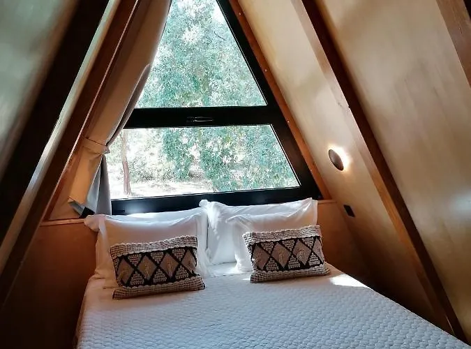 Carvalhal Redondo - Castelo Novo