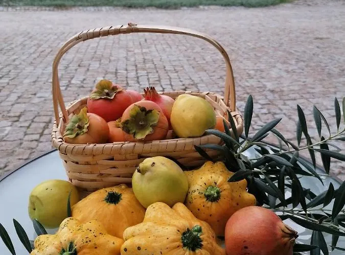 Carvalhal Redondo - منزل ريفي