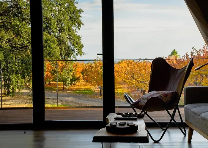 Carvalhal Redondo - Castelo Novo