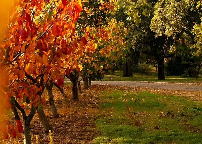 Carvalhal Redondo - منزل ريفي *