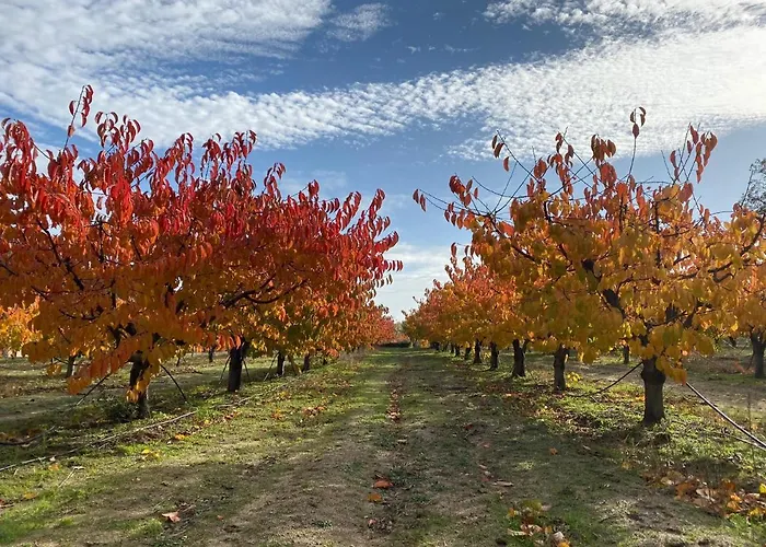 منزل ريفي Carvalhal Redondo - Castelo Novo
